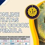 Slot Online Volatilitas Rendah Cocok Buat Pemula 2